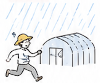 雨の中ハウスへ急ぐ農家のイラスト