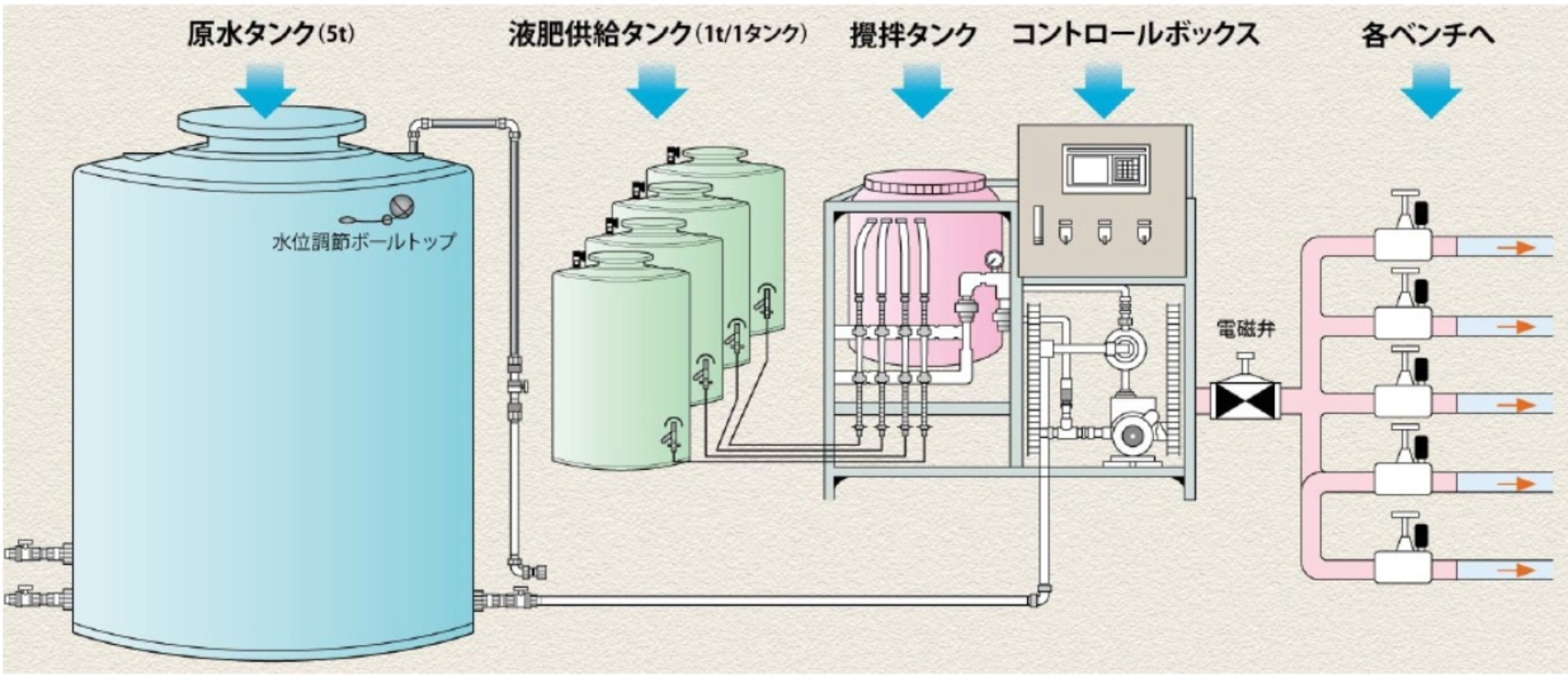 原水タンクと液肥タンクから攪拌タンクを通り各ベンチへ養液を送る栽培システムのフロー図